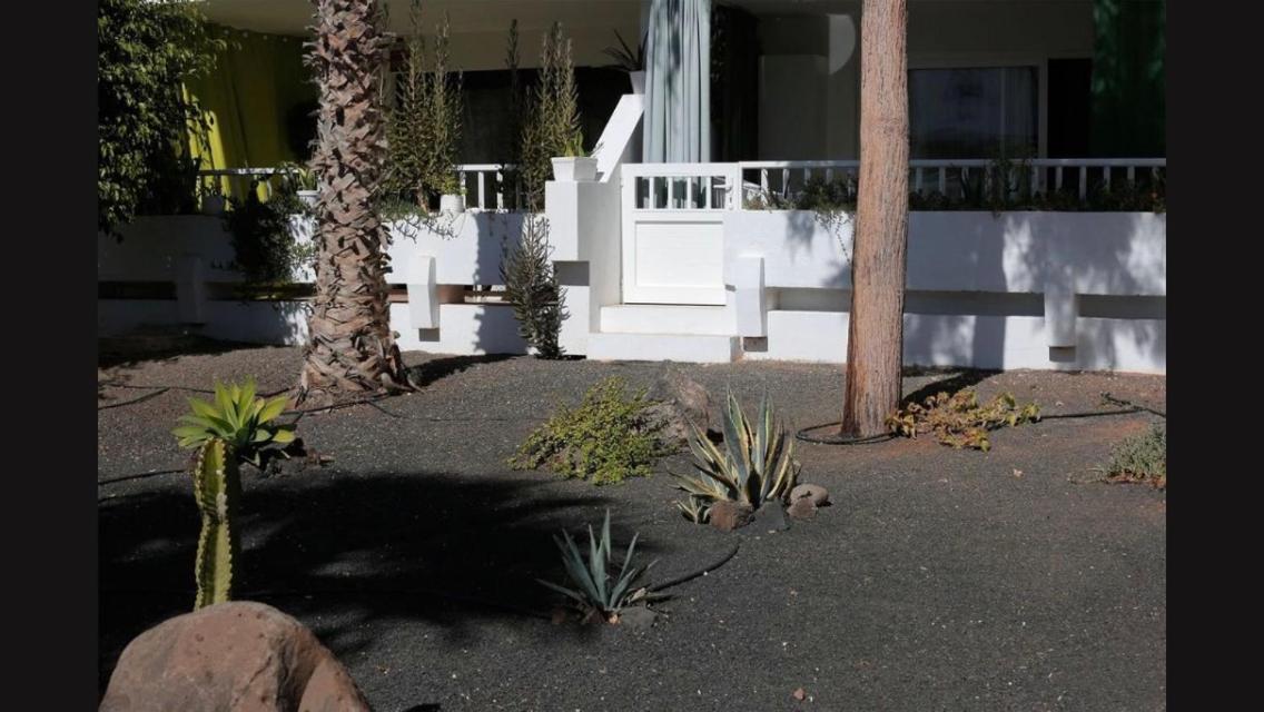Daruma Apartments Costa Teguise Extérieur photo